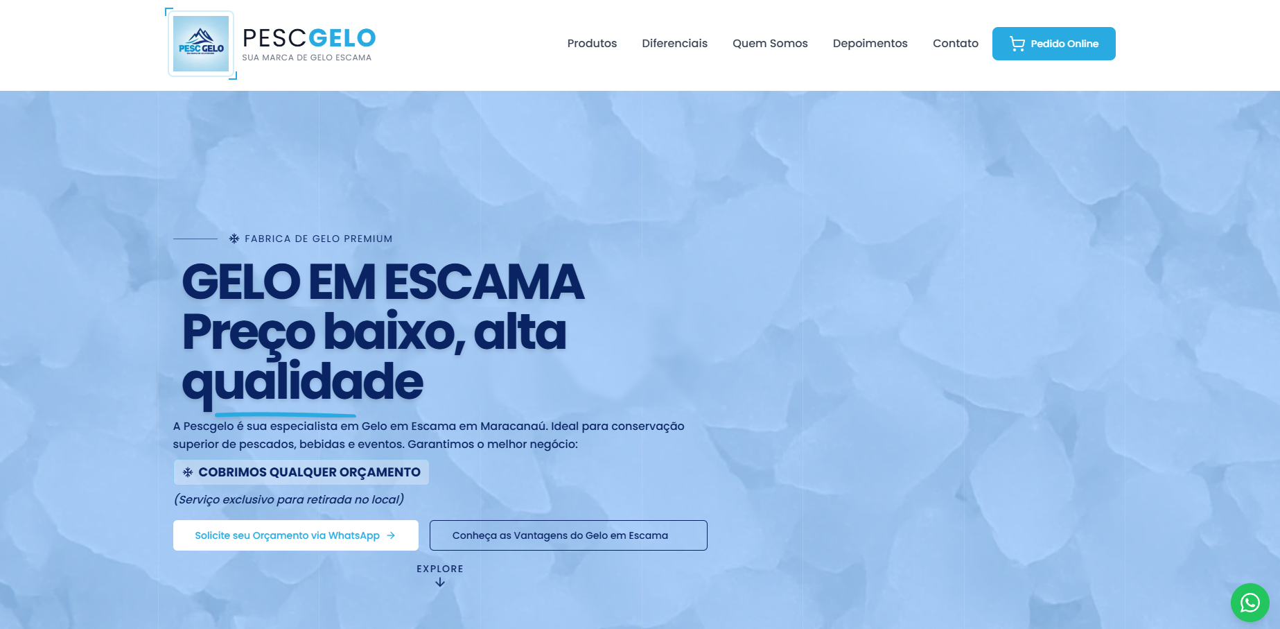 Site Institucional
